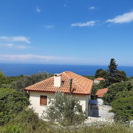 Kouros Villa! Paltsi Pilion エクステリア 写真