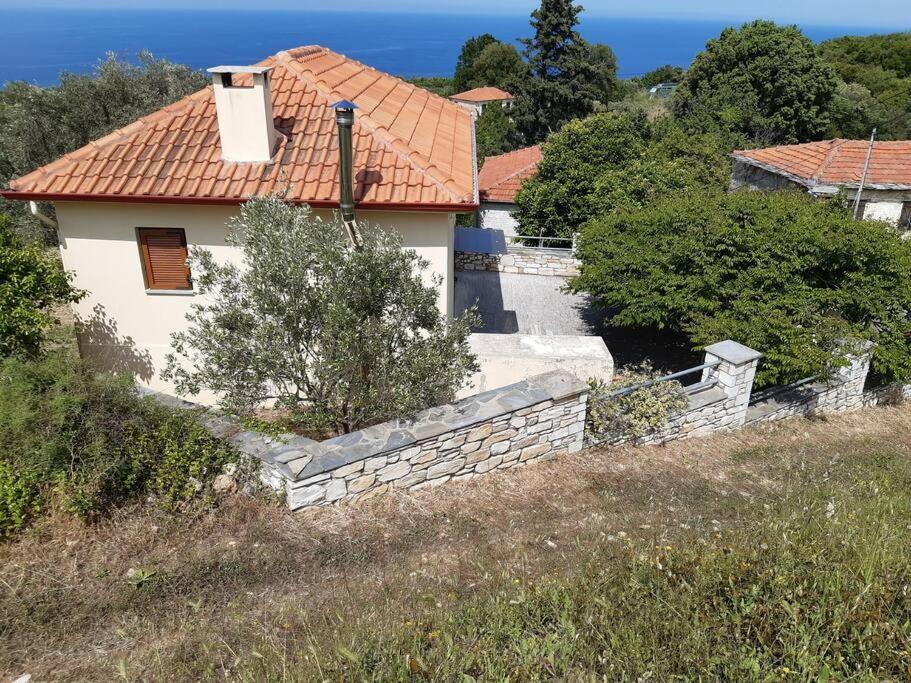 Kouros Villa! Paltsi Pilion エクステリア 写真